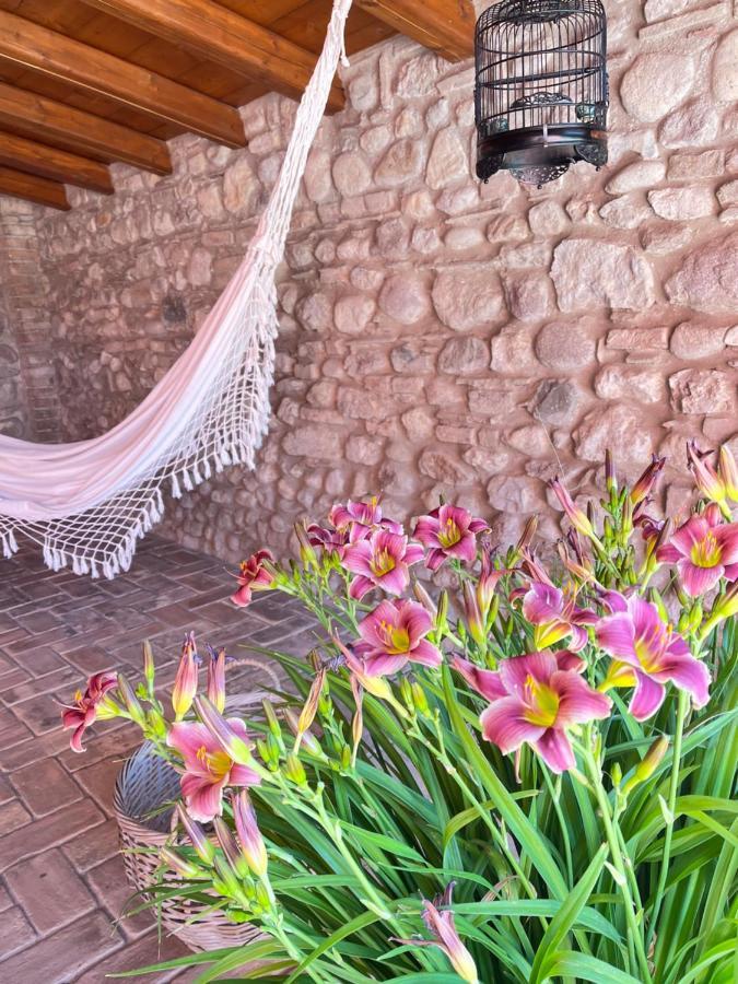 Le Mansarine Charme B&B Castellaro  Bagian luar foto