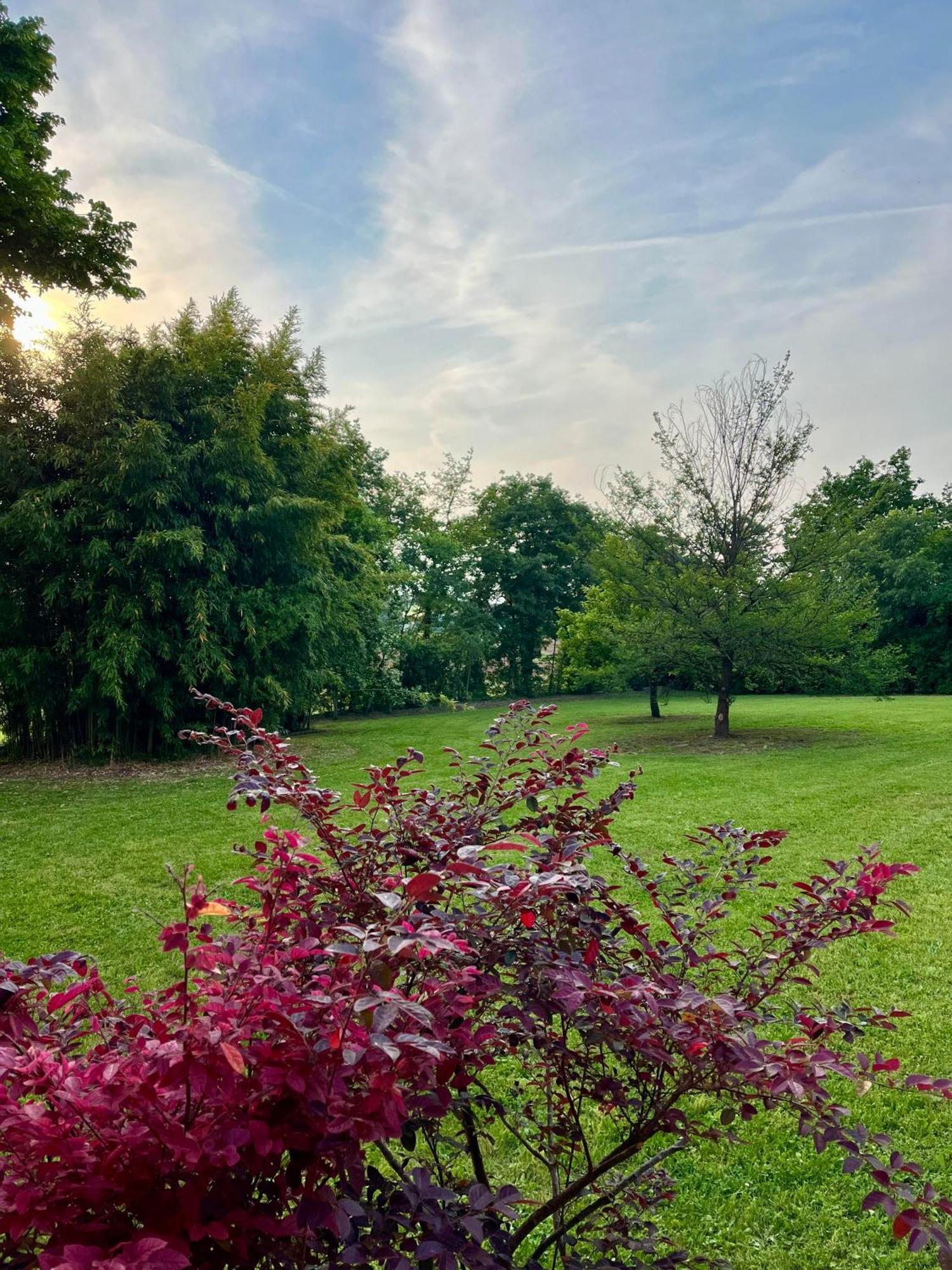 Le Mansarine Charme B&B Castellaro  Bagian luar foto